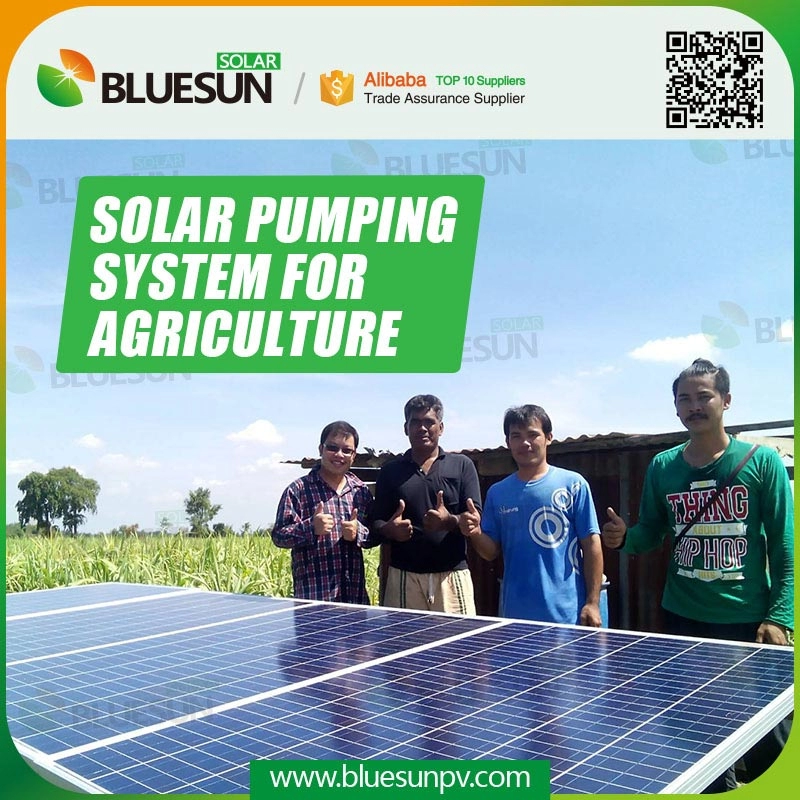 Hệ thống bơm nước nông nghiệp năng lượng mặt trời 15HP