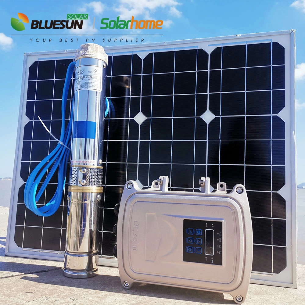 Bluesun Brand 110V Solar Well Pump 1500W DC Hệ thống bơm nước năng lượng mặt trời DC 2HP Bơm hồ bơi năng lượng mặt trời ở Thái Lan