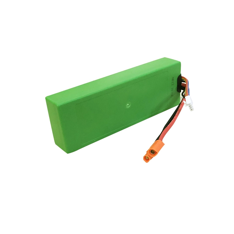 Pin Lithium-ion 9,6V 2,2Ah Lifepo4 cho đồ chơi công nghệ thông minh