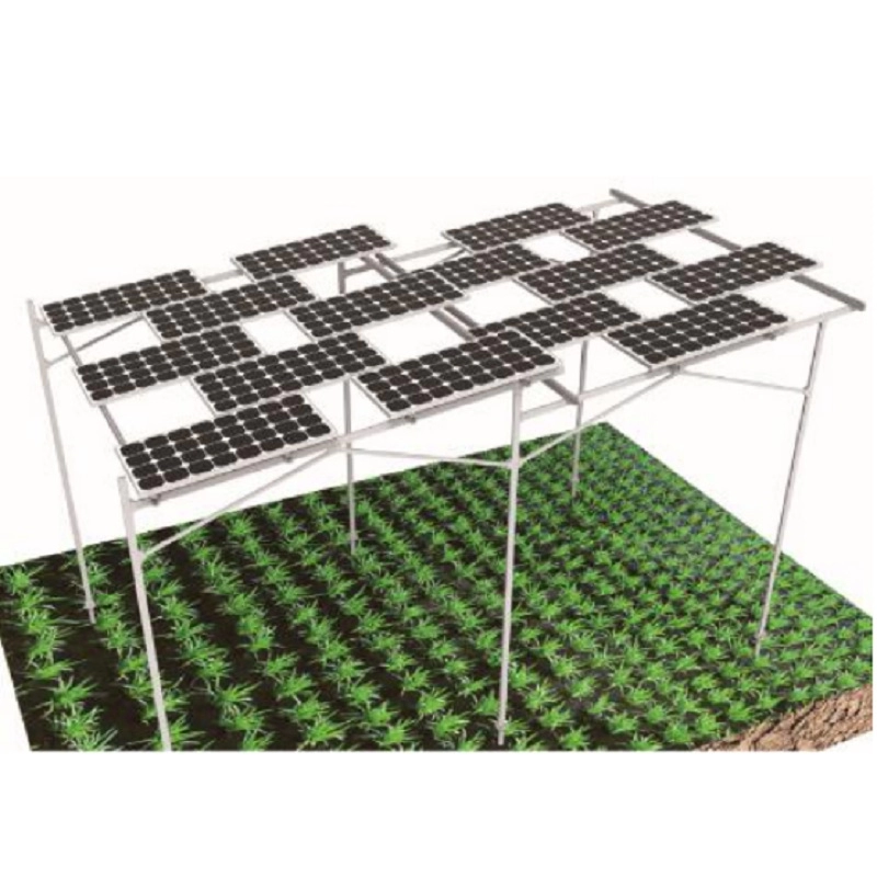 Cấu trúc lắp đặt mặt đất bằng năng lượng mặt trời trong nông nghiệp