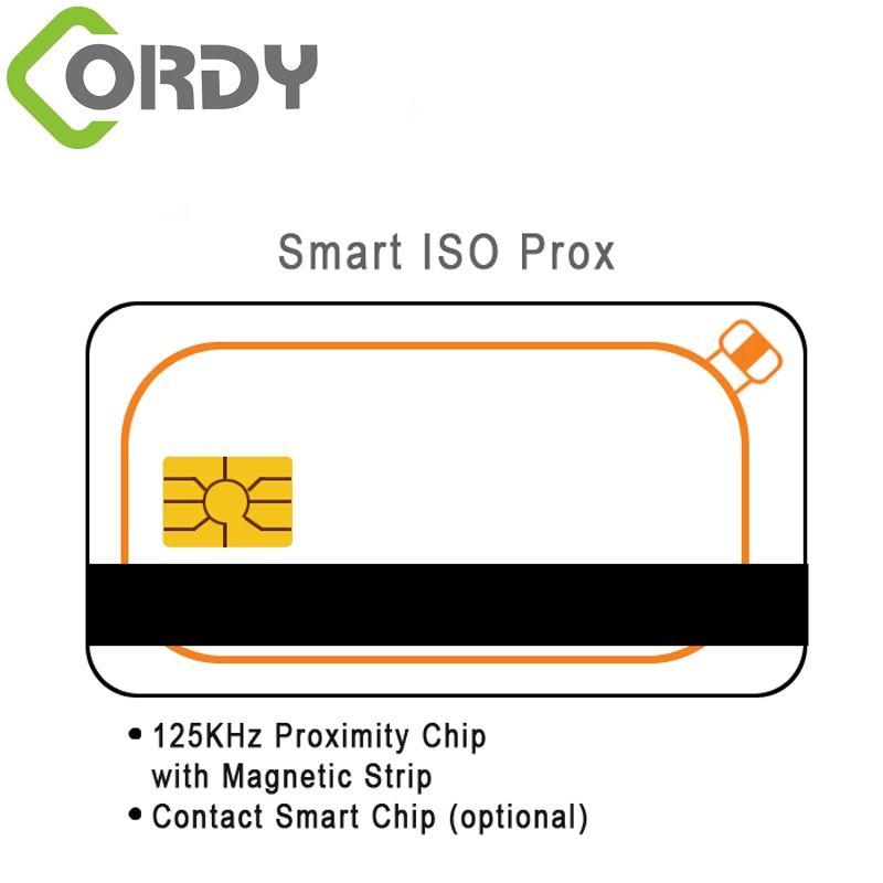 Thẻ kép RFID với dải từ tính Thẻ có IC tiếp xúc