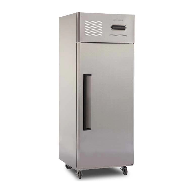 Tủ lạnh nhà bếp thương mại một cửa 0,8LG