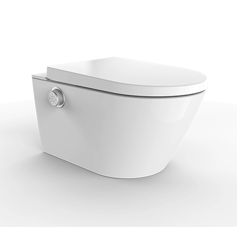 Lắp đặt nhà vệ sinh vòi hoa sen thông minh với bể chứa tủ màu trắng