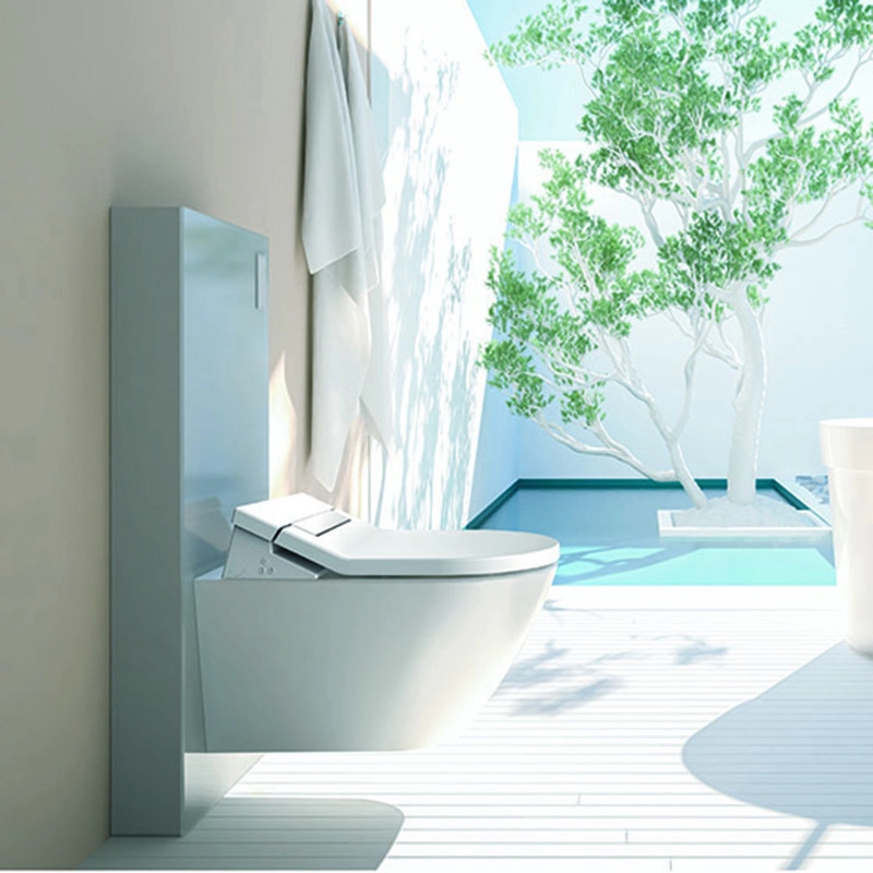 Giải pháp gắn nhà vệ sinh vòi hoa sen riêng biệt với bể chứa bên trong tủ
