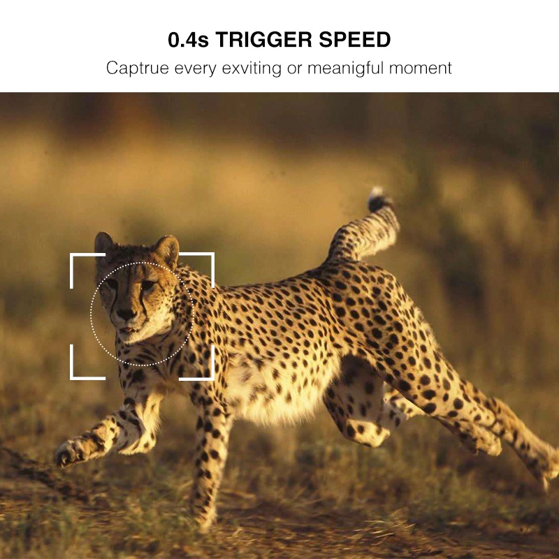 Máy ảnh săn bắn động vật hoang dã Video 4K UHD 30MP