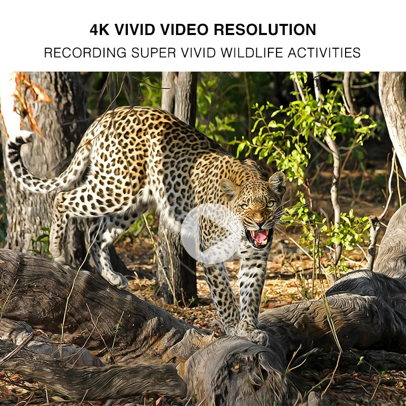 Camera đường mòn WiFi 4K 30MP với phiên bản ban đêm