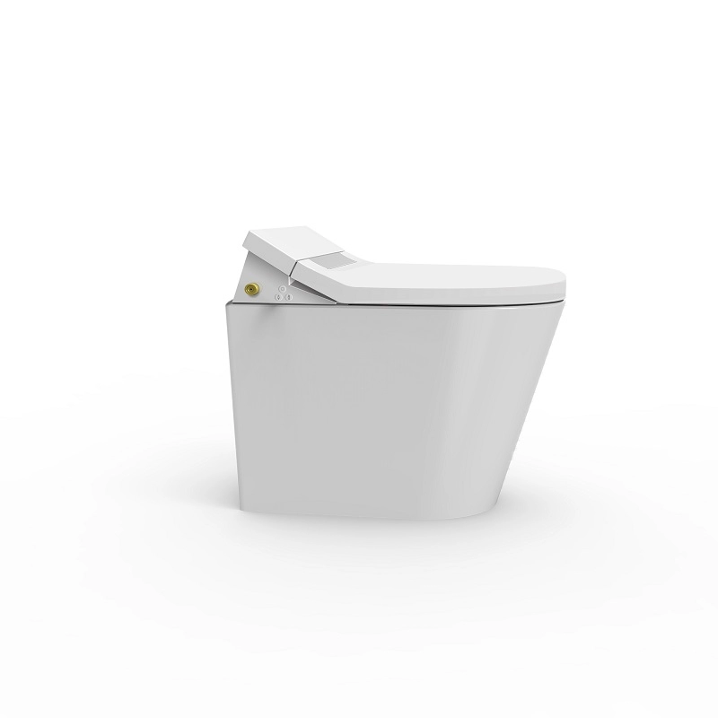 Giấy chứng nhận CE ghế tắm vòi sen WC có bể chứa nước