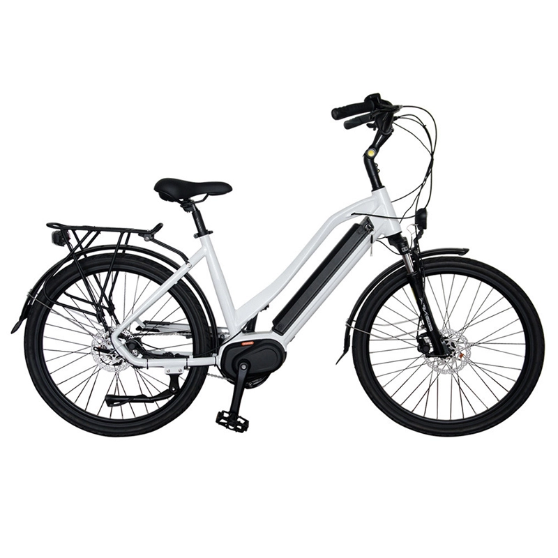 Thời trang bán chạy 36v 350w xe đạp điện 48v với động cơ không chổi than chất lượng cao 20 inch lốp béo ebike