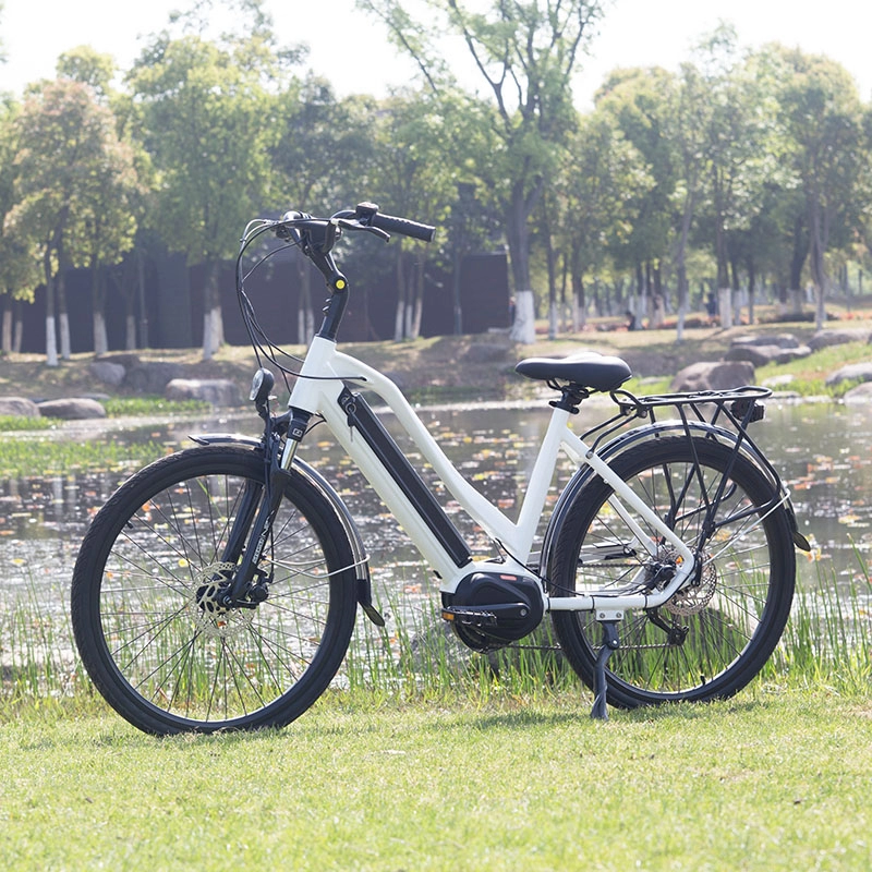 Thời trang bán chạy 36v 350w xe đạp điện 48v với động cơ không chổi than chất lượng cao 20 inch lốp béo ebike