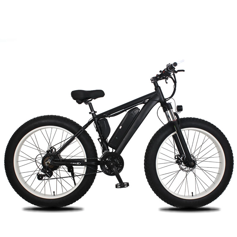 Xe đạp điện 350w 36v 26 '' tùy chỉnh Xe đạp điện Ebike