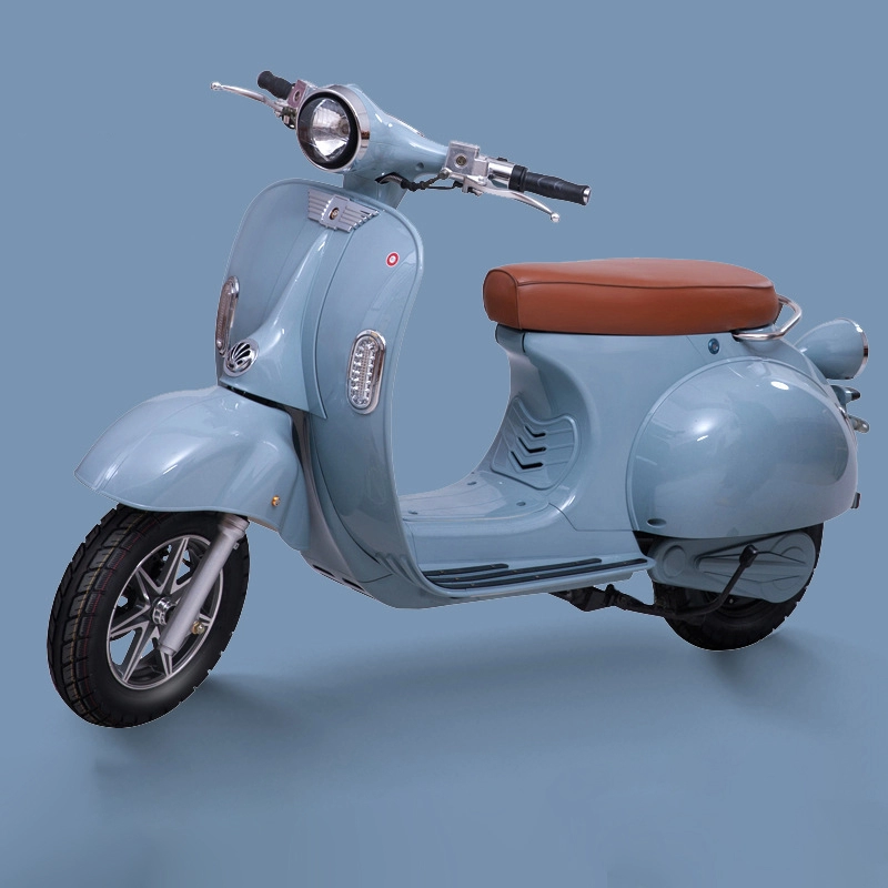 Giao thức ăn 3000w cho người lớn xe điện vespa