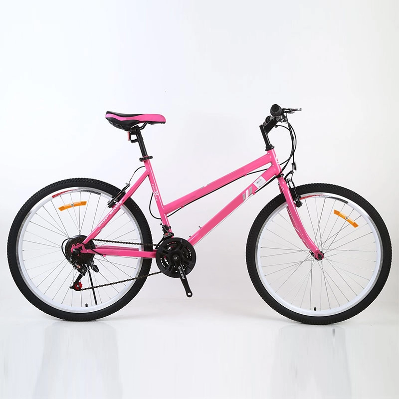 Người lớn 24 26 Inch 7 Xe đạp tuần dương tốc độ Xe đạp thành phố dành cho nữ