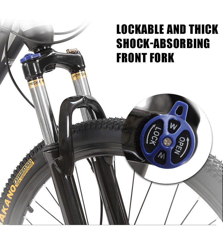 xe đạp lockacbe