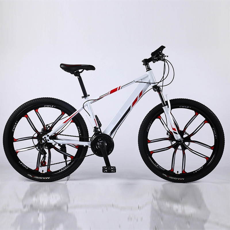 Giảm giá bán chạy Xe đạp leo núi tùy chỉnh đầy đủ 21 xe đạp tốc độ