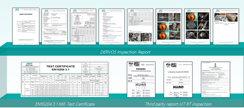 Báo cáo kiểm tra Dervos cho van công nghiệp