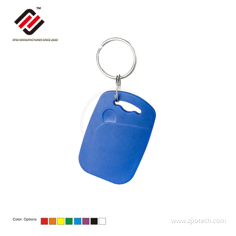 LF 125Khz Chỉ đọc RFID Keyfob