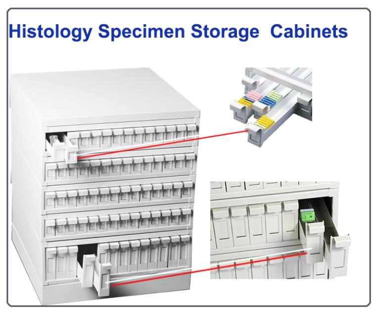 microscope slide storage cabinet