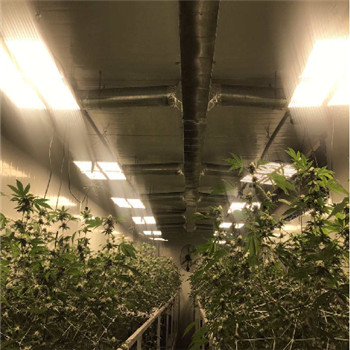 Đèn LED tăng trưởng thực vật trong nhà hiệu quả cao theo tiêu chuẩn IP65