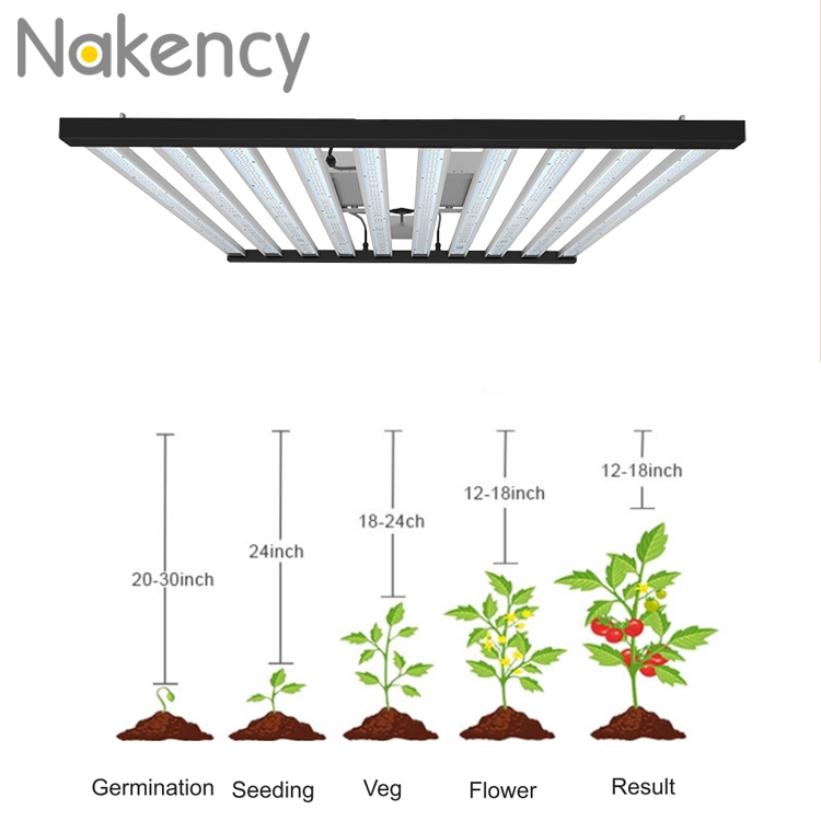 1200w 10 đèn LED có thể tháo rời để trồng rau